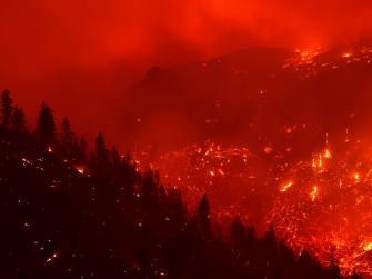 A fire burns red in a forested area.