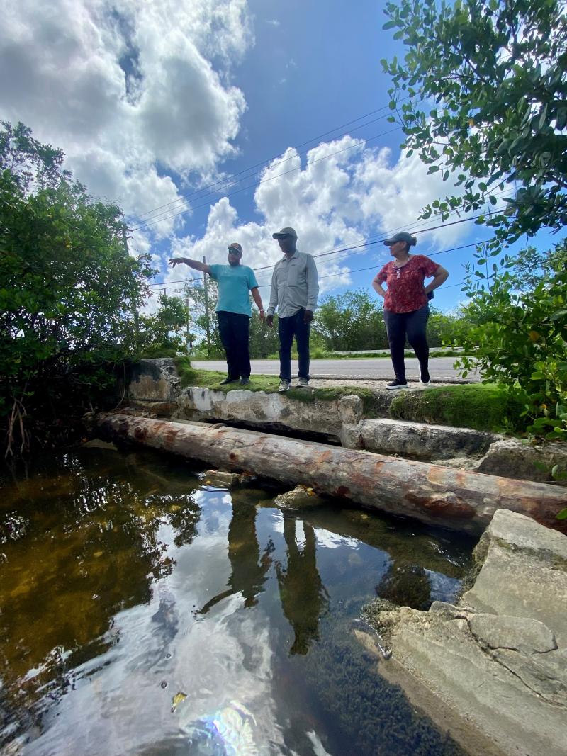 Nassau partners looking at creek in The Bahamas